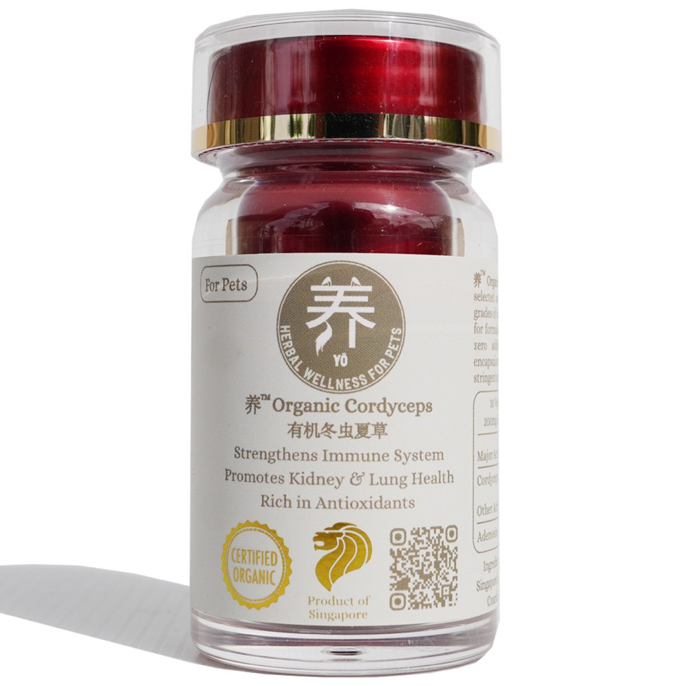 Yo Organic Cordyceps Herbal Supplements For Cats & Dogs 30c (Exp Feb 2026)