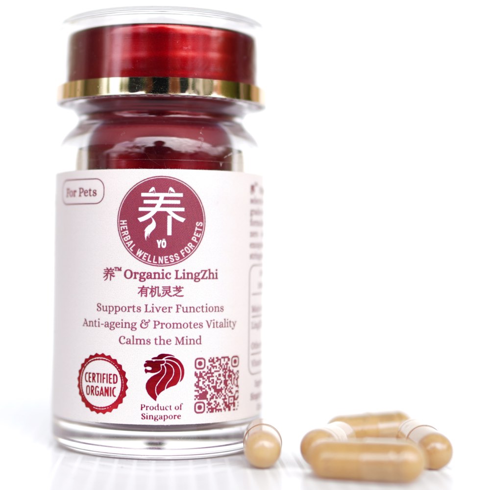 Yo Organic Lingzhi Herbal Supplements For Cats & Dogs 30c (Exp Feb 2026)
